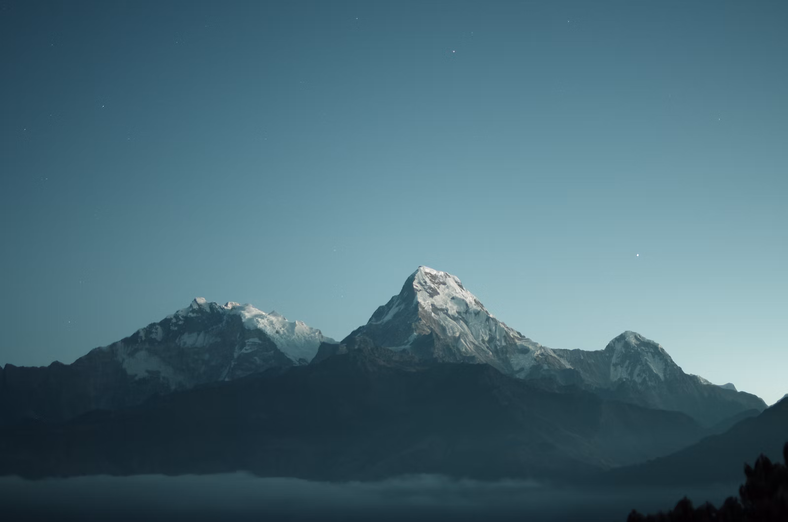 https://unsplash.com/@danielleone)